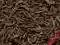 Herbata Pu Erh Special bardzo mocna. 1kg hurt