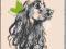 pocztówka GRABIAŃSKI Cocker spaniel RUCH 1970