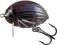 Wobler Salmo Lil`Bug BG2F DBE