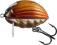 Wobler Salmo Lil`Bug BG2F MBG