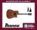 Ibanez AW250ECE-RTB + PROMOCJA CENOWA!