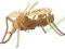 PUZZLE DREWNIANE 3D MOSQUITO