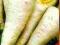 Pietruszka korzeniowa OŁOMUŃCKA 5g nasiona