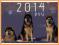 Kalendarz ścienny 2014 Psy 24h