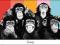 THE CHIMP - MONKEYS COMPILATION - plakat 91.5x61cm