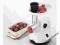 Maszynka do mięs KENWOOD MG450 F.VAT GWARANCJA (A)