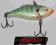 WOBLER RAPALA RATTLIN BLUEGILL 5cm 11g Tonący