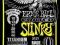 Ernie Ball 3121 Titanium Coated Slinky 10-46