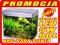 AQC006 ZESTAW AKWARIOWY LED SREBRN 90L HRC-630D 5W