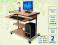BIURKO STOLIK KOMPUTEROWY  LAPTOP NETBOOK PROMOCJA