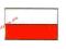 Wpinka pin Przypinka znaczek Polska Poland Flaga