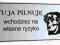Tabliczka _UWAGA PIES......_PCV 3mm_DUŻY WYBÓR_