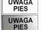 Tabliczka _UWAGA PIES......_PCV 2mm_DUŻU WYBÓR_
