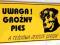 Tabliczka _UWAGA PIES......_PCV 4mm_DUŻU WYBÓR_