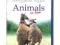 ANIMALS IN LOVE   BLU RAY