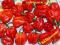 SUSZONA PAPRYKA CHILI HABANERO 3 GATUNKI I INNE