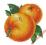 Soczysta pomarańcza