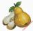 Soczysta gruszka