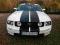 FORD MUSTANG V6 2006 r.