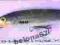 Wobler Rapala Down Deep Husky Jerk 10cm S