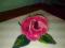 Broszka róża filcowna wełna polska ręcznie robiona