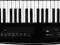 Roland AX-Synth BK Syntezator naramienny keyboard