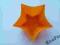 Forma, foremka  silikonowa gwiazdka