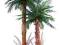 DRZEWKO palmowe PALMA sztuczna duża ZIELONA 250 cm