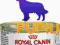 Royal Canin Mature +8 puszka 195g