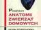 Podstawy anatomii zwierząt domowych