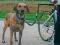 HIT !!! SMYCZ DO ROWERU DLA PSA   WROCŁAW