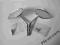 Lusterka lusterko oryginalne Harley F-VAT 23%