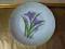 Rosenthal piękny duży ręcznie malowany talerz !!!