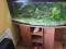 AKWARIUM PROFIL. 240+SZAFKA +FLUVAL 405+TŁO 3D
