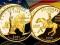 USA Quarters uszlachetnione 24-karatowym złotem