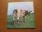 PINK FLOYD - ATOM HEART MOTHER