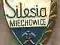 Silesia Miechowice