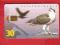 ESTONIA  karta chipowa  FAUNA   ptak  2