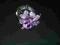 CUDEŃKO!!!BRANSOLETA SWAROVSKI FIOLET