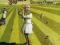 Genesis - Nursery Cryme LP(FOLIA) Ltd 180gr ######