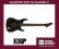 ESP/LTD KH-25 relic Kirk Hammett Metallica