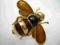 broszka pszczółka emaliowana