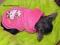 Bluza dla psa HELLO KITTY york chihuahua shih tzu