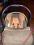 fotelik samochodowy 0-13kg 4Baby Deluxe Nowy