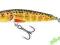 SALMO MINNOW sinking TROUT 6cm 6g - M6ST