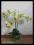 37 Storczyk zielony storczyki zielone