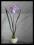 14 Amarylis fioletowy sztuczne kwiaty kula