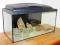 AKWARIUM 60L PEŁNY OSPRZĘT SUPER CENA WROCŁAW