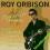 Roy Orbison Rock 'n' Roll Favourites OKAZJA z UK