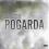 Pogarda DVD
